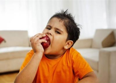 بچه ها چاق مصرف این میوه را فراموش نکنند